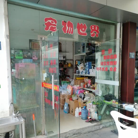 宠物世界:嘉兴市嘉善县