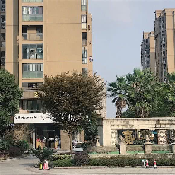 Meow喵屋猫咪生活馆:嘉兴市嘉善县