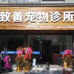 致善宠物诊所:嘉兴市嘉善县