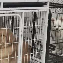 缘宠物馆:嘉兴市海宁市