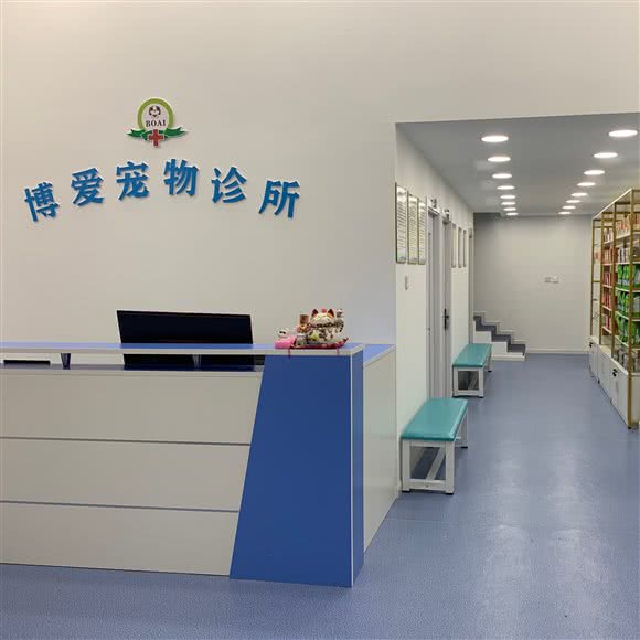 博爱宠物诊所:嘉兴市海宁市