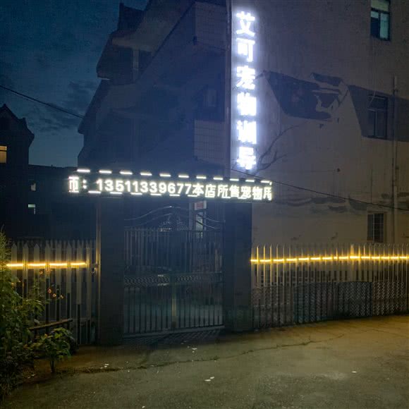 艾可宠物训导:嘉兴市平湖市