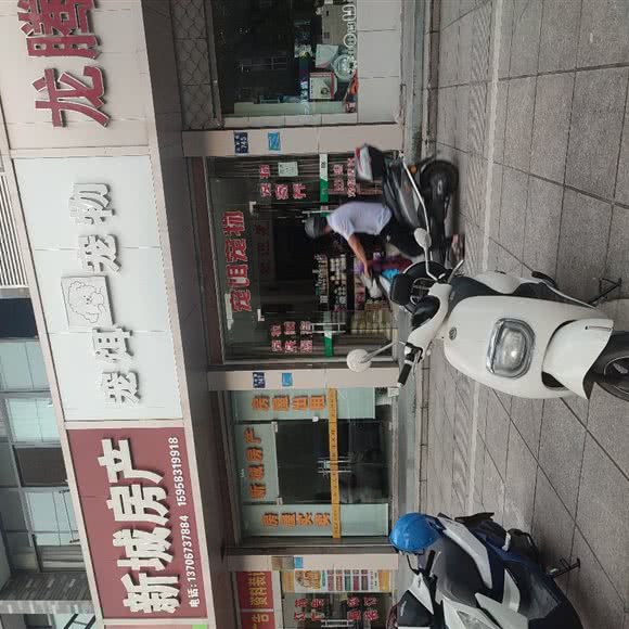 宠饵宠物店:嘉兴市平湖市