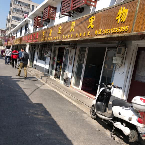 乍浦宝贝宠物:嘉兴市平湖市