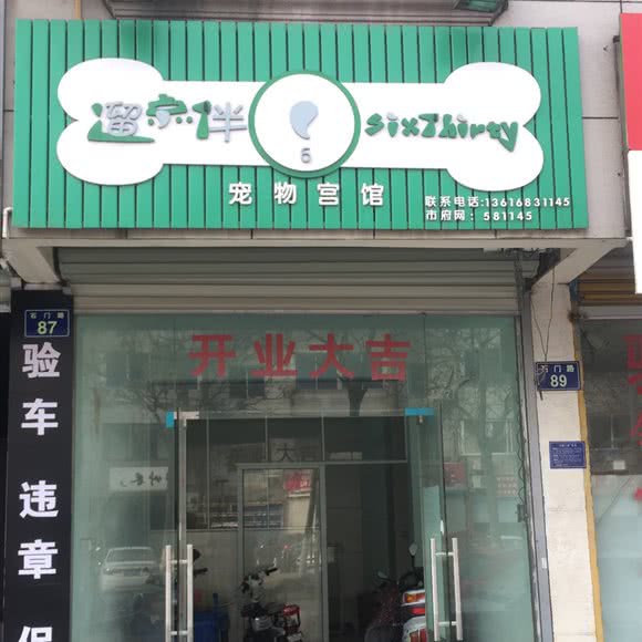 遛点伴宠物宫馆:嘉兴市桐乡市