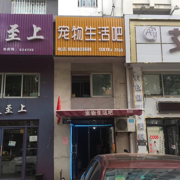 宠物生活吧:嘉兴市桐乡市