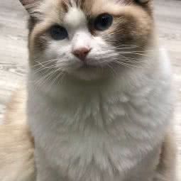 哈尼宠物生活馆:嘉兴市桐乡市