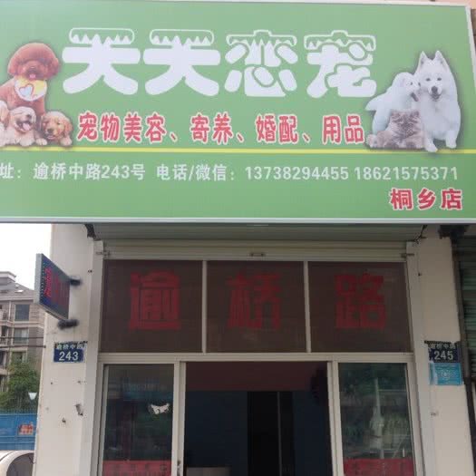 天天恋宠:嘉兴市桐乡市