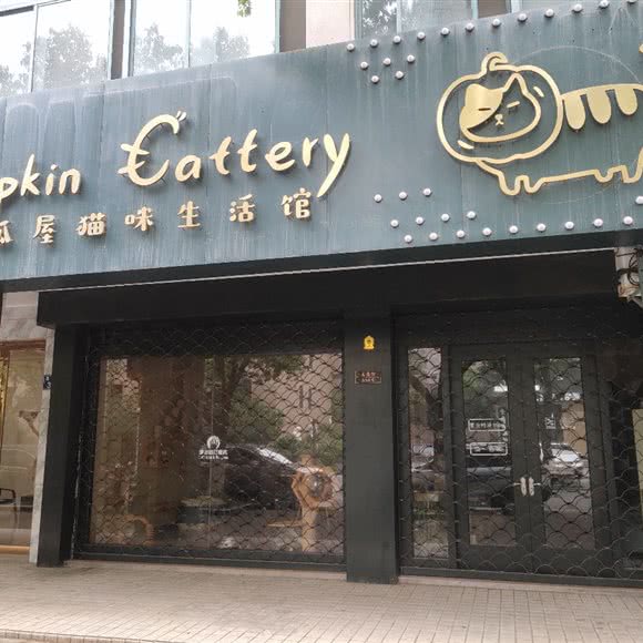 南瓜屋猫咪生活馆:嘉兴市桐乡市