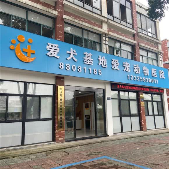 爱犬基地爱宠动物医院:嘉兴市桐乡市