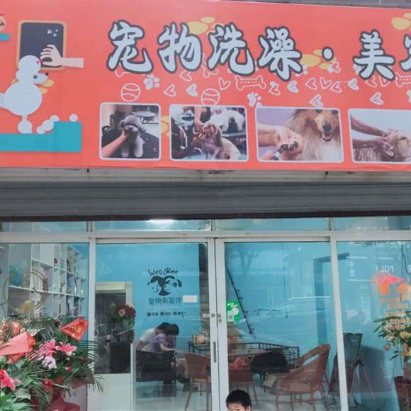宠物洗澡美容:湖州市吴兴区