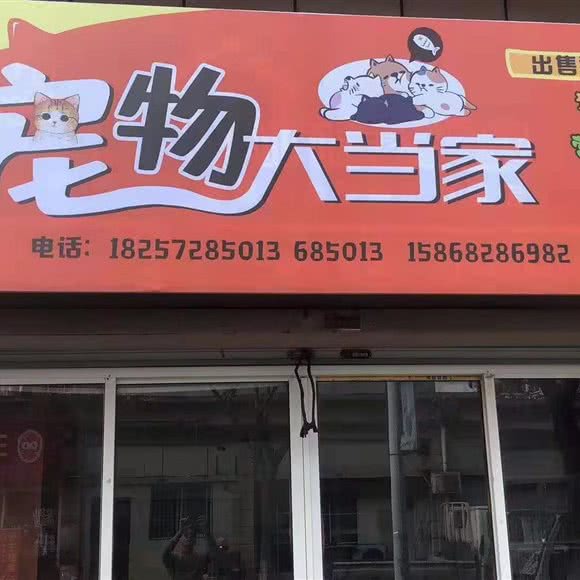 狗狗大当家:湖州市吴兴区