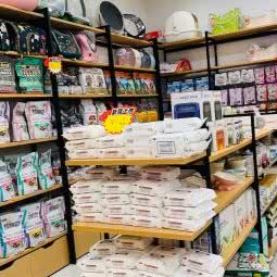 锐誉宠物名猫生活馆:湖州市吴兴区