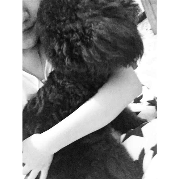 皇家宠物(德清店):湖州市德清县