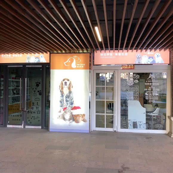 派多格宠物(新晋府店):晋中市榆次区榆次区附近