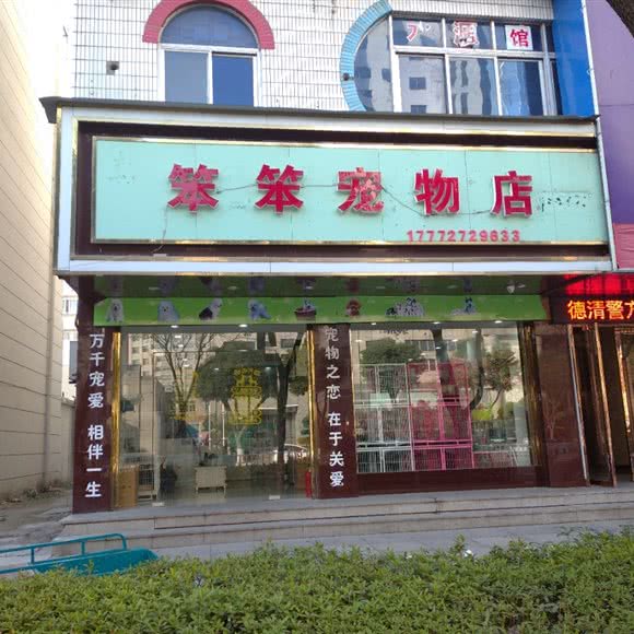 笨笨宠物店:湖州市德清县