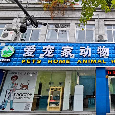 派希德·爱宠家动物医院:湖州市德清县