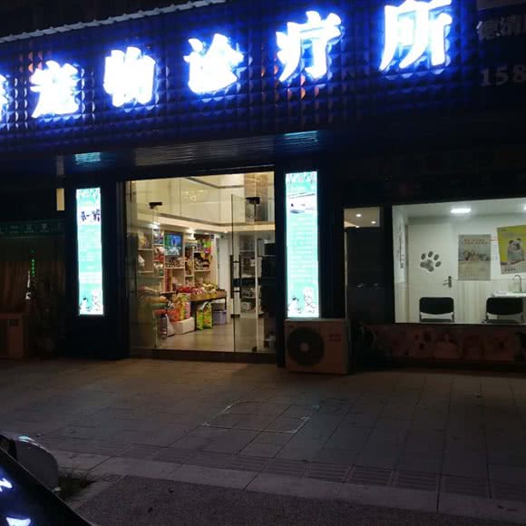 一善宠物诊疗:湖州市德清县