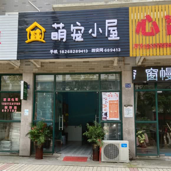 萌宠阁楼:湖州市长兴县