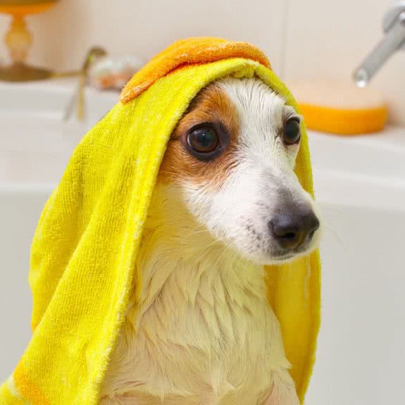 独·家私宠:晋中市榆次区榆次区附近