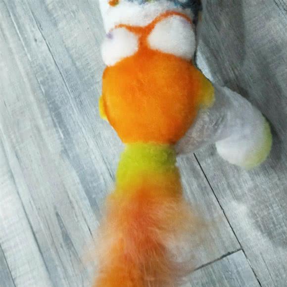 小可爱宠物:湖州市长兴县