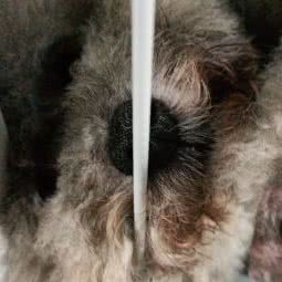 派格宠物生活馆:湖州市长兴县