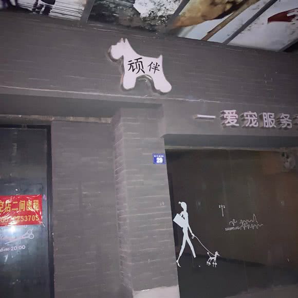 顽伴爱宠服务社:湖州市长兴县