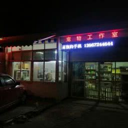 宠物工作室:湖州市长兴县