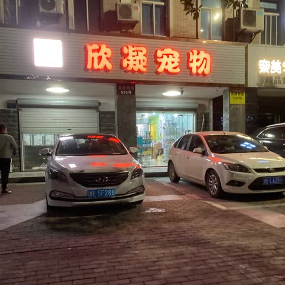 欣凝宠物:湖州市长兴县