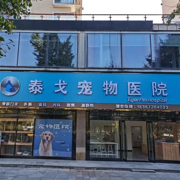 泰戈宠物医院:湖州市长兴县
