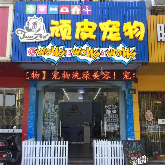 顽皮宠物:湖州市安吉县