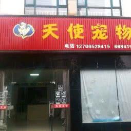 天使宠物:湖州市安吉县