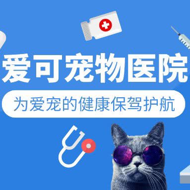 爱可宠物医院:湖州市安吉县
