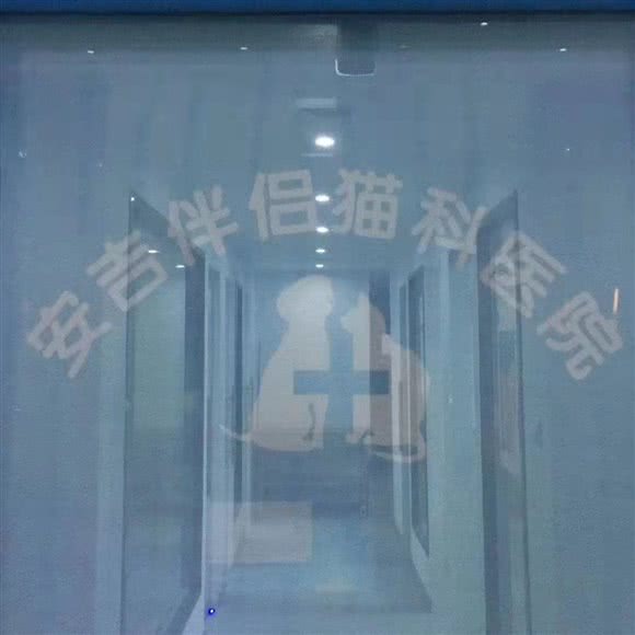 安吉爱侣猫科医院:湖州市安吉县