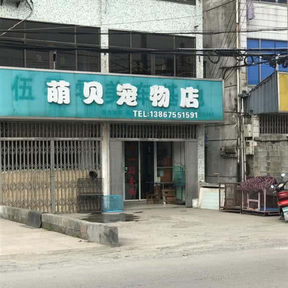 萌贝宠物店:绍兴市柯桥区