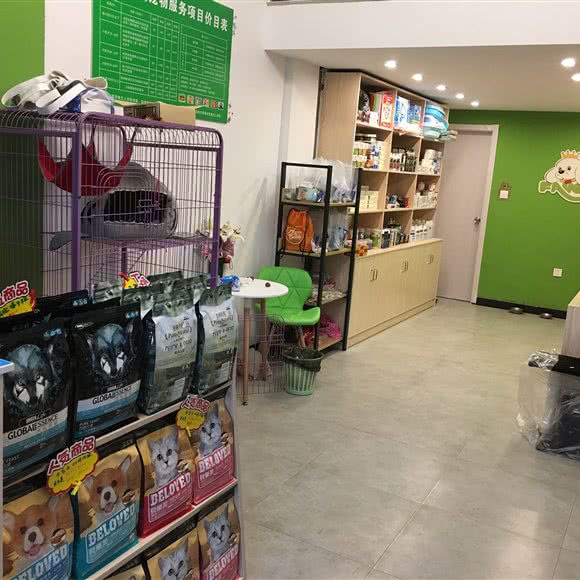 圣宠狗狗:绍兴市柯桥区