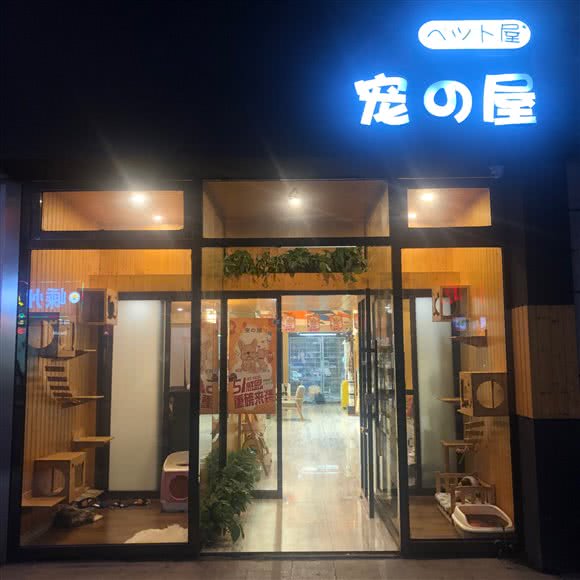 宠之屋(蓝天宠物店):绍兴市柯桥区
