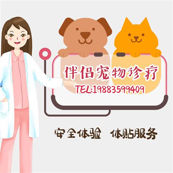伴侣宠物诊疗中心:绍兴市柯桥区