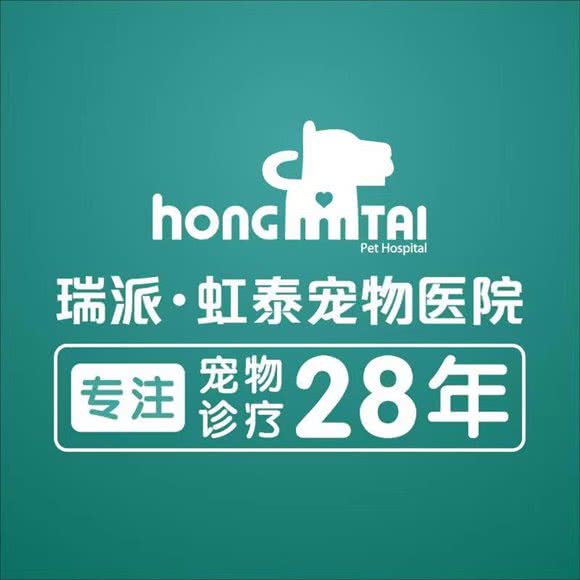 虹泰宠物医院24小时(柯桥分院):绍兴市柯桥区