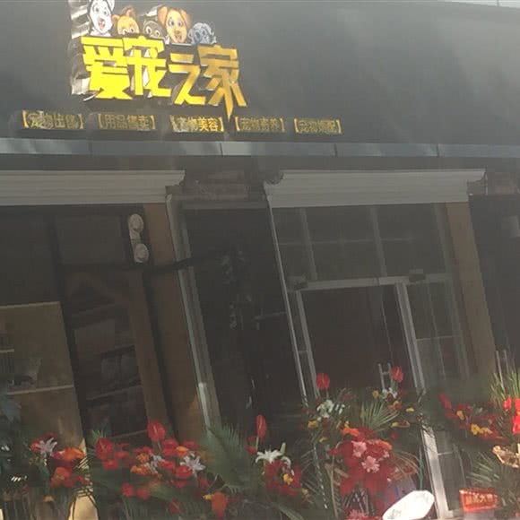 爱宠之家宠物美容:绍兴市上虞区
