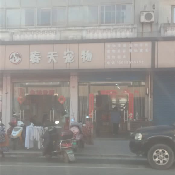 春天狗狗:绍兴市上虞区