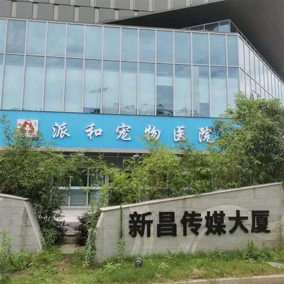 派和·酷狗宠物医院(新昌分院):绍兴市新昌县