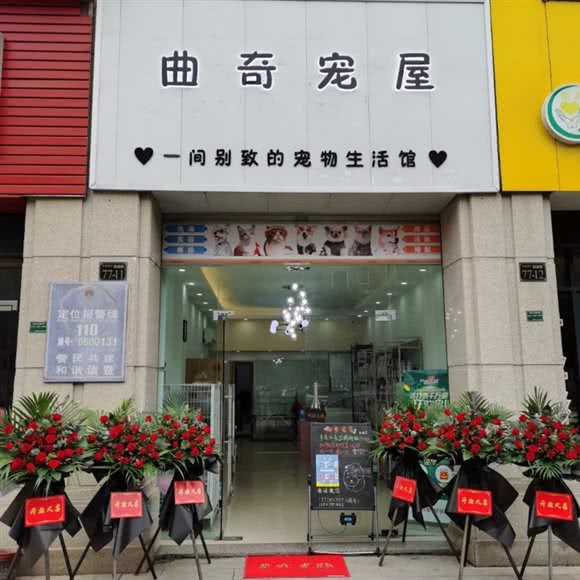 曲奇宠屋:绍兴市诸暨市
