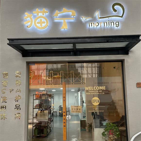 猫宁morning宠物生活馆:绍兴市诸暨市