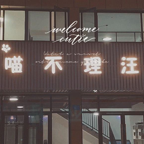 喵不理汪宠物生活馆:绍兴市诸暨市