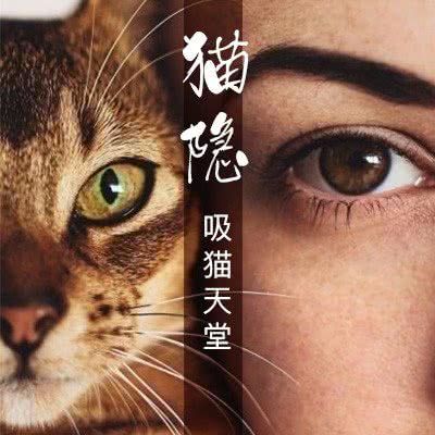 有它在撸猫馆:晋中市榆次区榆次区附近