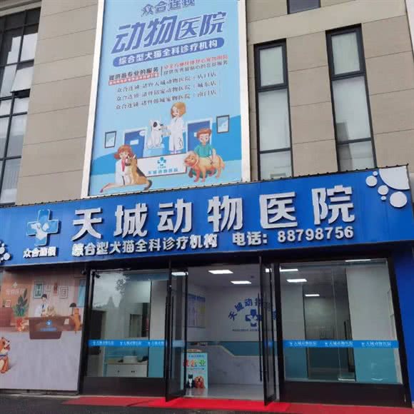 天城动物医院:绍兴市诸暨市