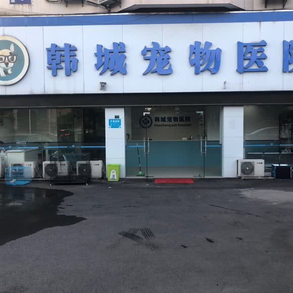 韩城宠物医院:绍兴市诸暨市