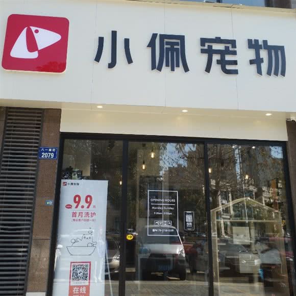 小佩宠物店(金华江南金桂院店):金华市婺城区