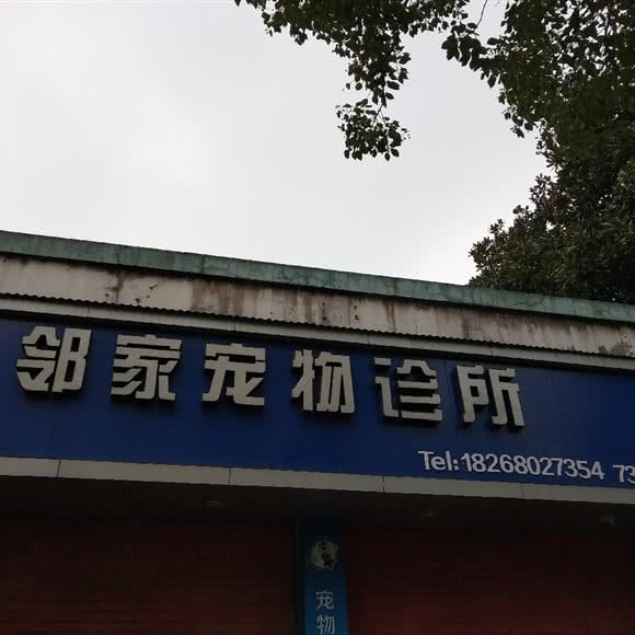 邻家宠物诊所:金华市武义县